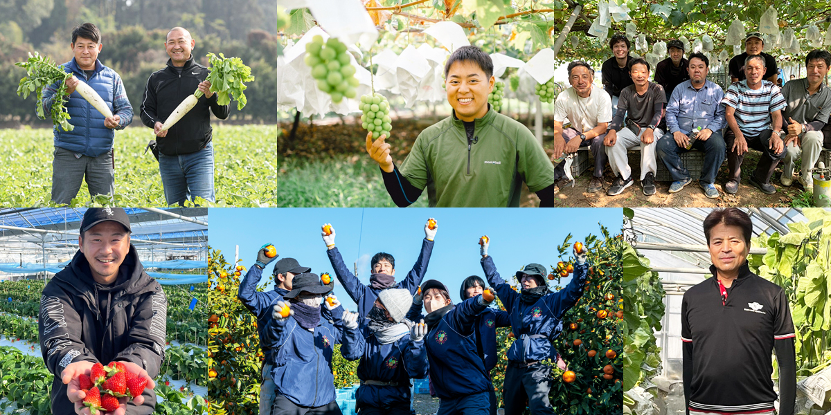 産地へ足を運び、生産者と一丸となって輸出へ取り組んでいます。