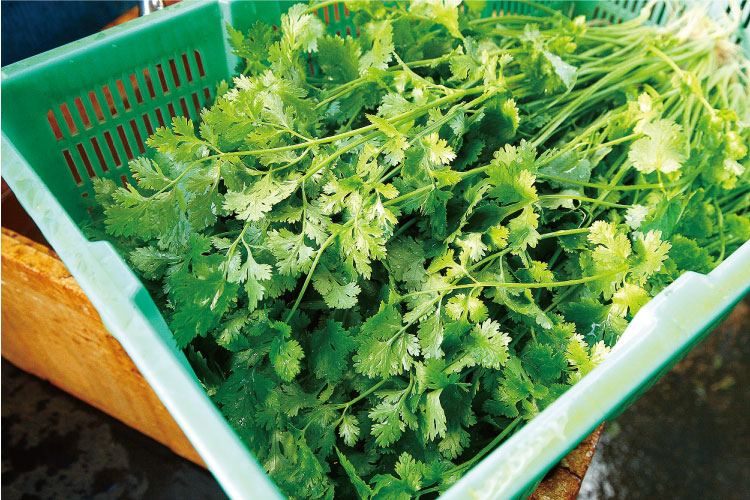 タイの台所新聞