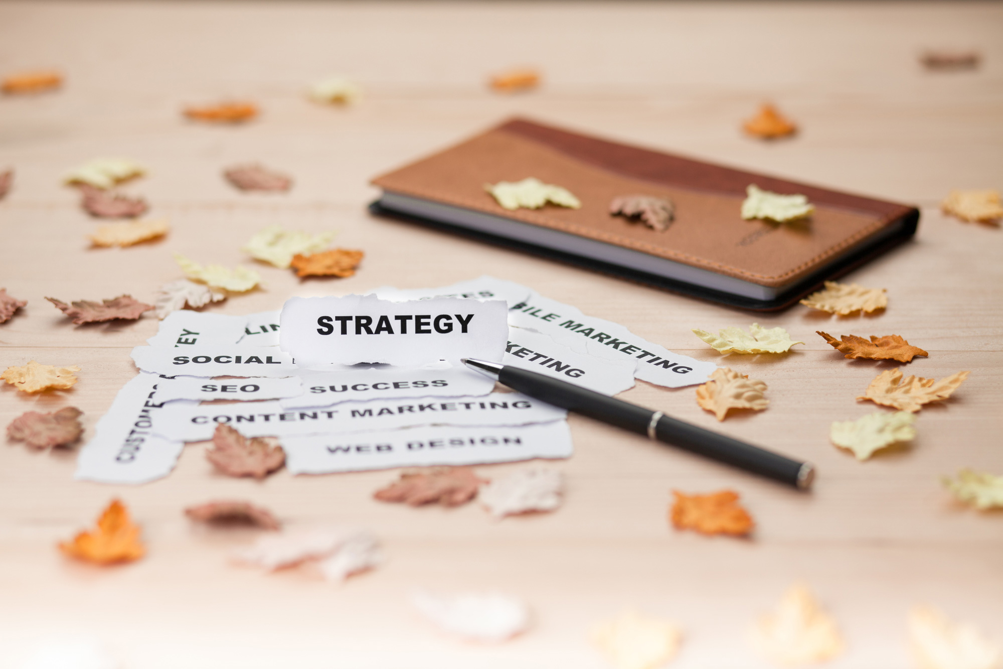 3. 2026年の投資環境と進出成功への戦略的アプローチ